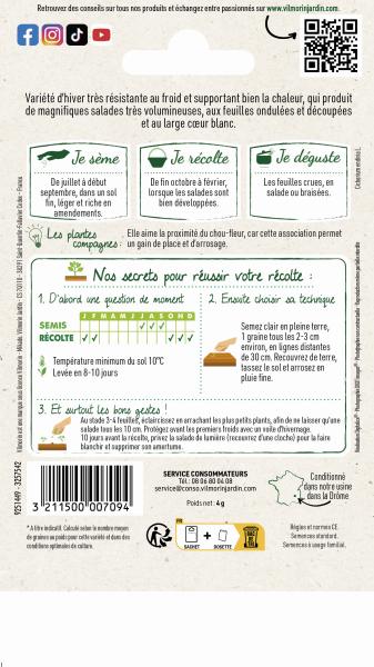 Potagères - Chicorée Scarole Géante Maraîchère race Salanca - MEDIA_PACKAGING_VERSO